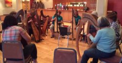 harp session
